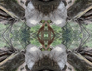 P1021281Kal2.jpg